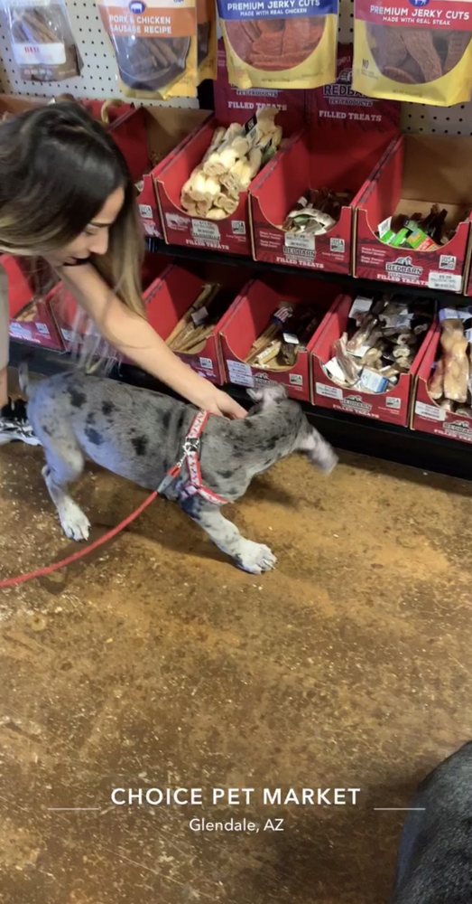 choice pet market near me