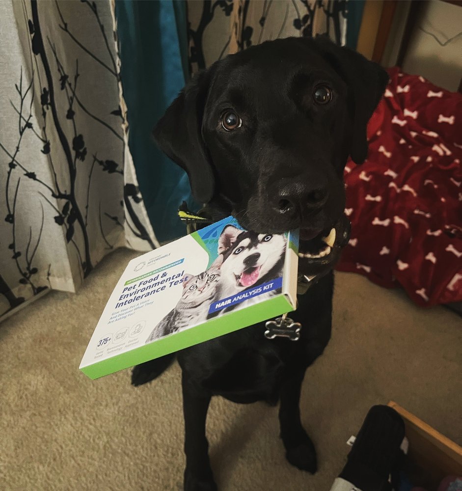 PEORIA’S PET MARKET Updated July 2024 18 Photos & 39 Reviews 8978