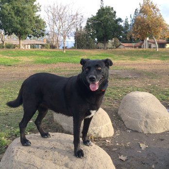 Kroll Park - The park gets pretty soggy after rains since it doubles as a sump. You can see the water lines on the rocks from the rain. - Playgrounds Near Me - Bakersfield, California