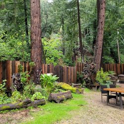 Jewel In the Forest