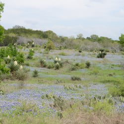 Shaffer Bend Recreation Area