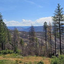Worton's Market - Overlook point with views of Tahoe in the distance on a clear day.