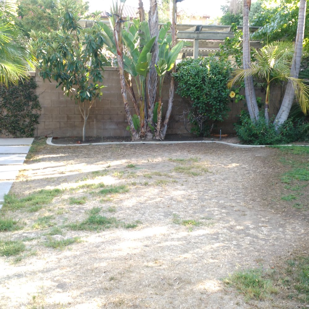Green's Landscaping - before - Landscaping Near Me