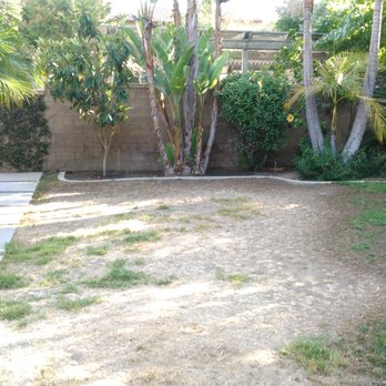 Green's Landscaping - before - Landscaping Near Me Green's Landscaping - before - Landscaping Near Me