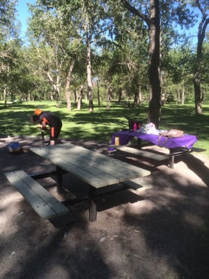 Bow Habitat Station & Sam Livingston Fish Hatchery by null