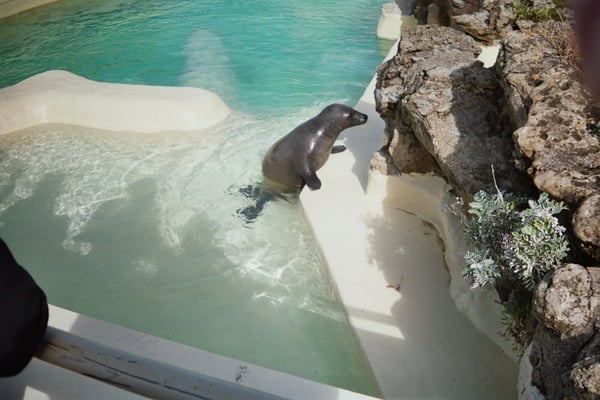 Biarritz Aquarium by null