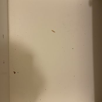 Clean Crew - Inside drawer - Home Cleaning Near Me - Glendale, Wisconsin