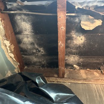 On Demand Restoration - Damage Restoration Near Me On Demand Restoration - Damage Restoration Near Me