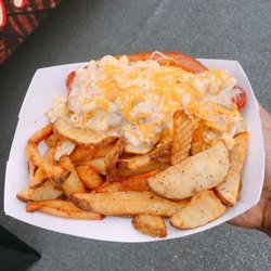 user provided Bearded Dog photo