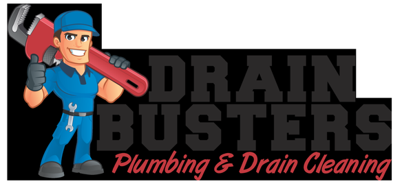Drain Busters NY Logo