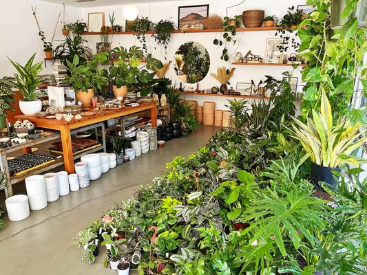 Public Land Store by null