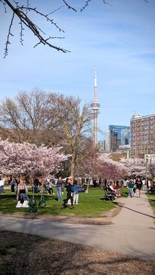Trinity-Bellwoods by null