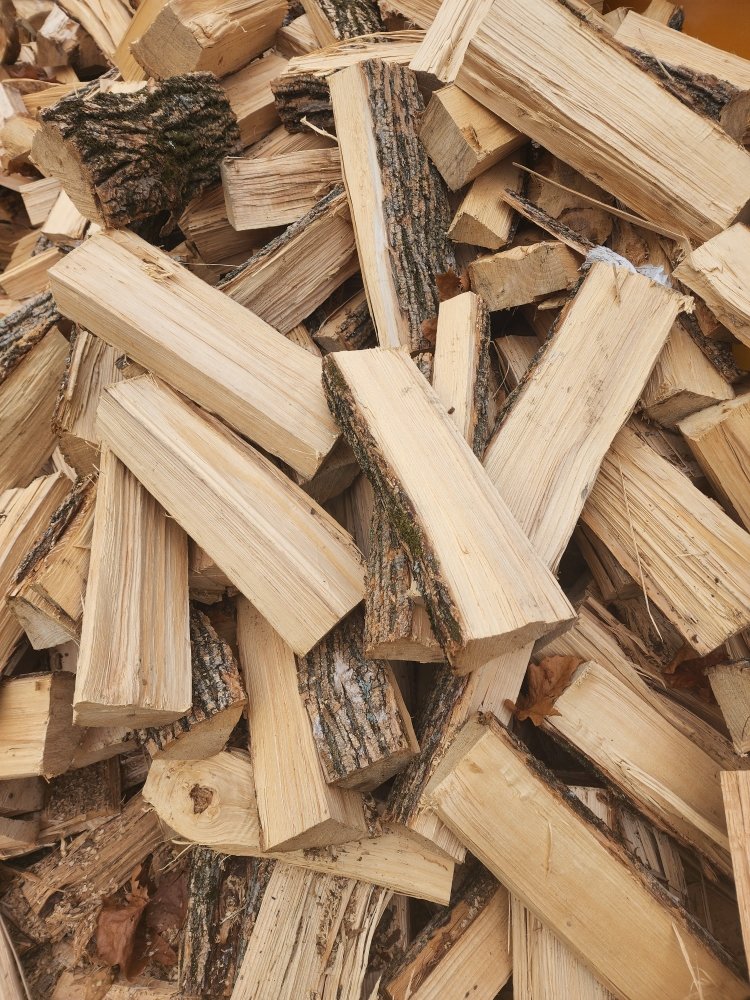 Jay Tree Service - tree service in Croydon, PA