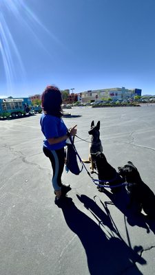 Make-A-Wish Nevada by null