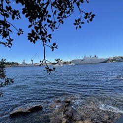 The Opera House to the Botanic Gardens Walk