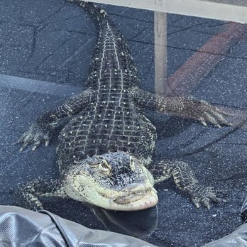 Idaho Reptile Zoo - Zoos Near Me - Boise, Idaho Idaho Reptile Zoo - Zoos Near Me - Boise, Idaho