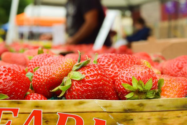 The Market On Kern by null