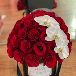 Luxe Flower Box - Orchids with Roses