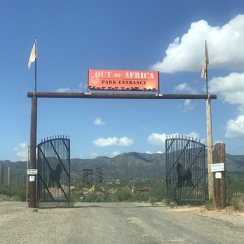Predator Zip Lines - Ziplining Near Me