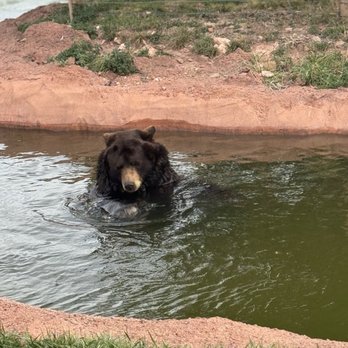 Bear Country USA - Zoos Near Me - Rapid City, South Dakota