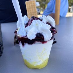 The Freeze - Huckleberry/lemon sundae