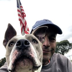 Town of Hempstead Animal Shelter - Rubi Rose needs a home.  Smart, affectionate, and Patriotic!! Adopt!!!!!