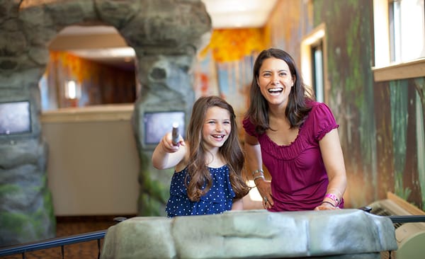 Great Wolf Lodge | Grapevine by null