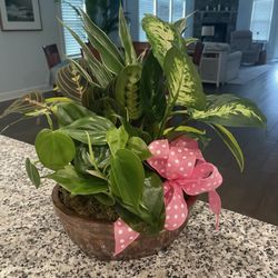 Flowers On Savannah and Floral 302 - Artists choice (greens)