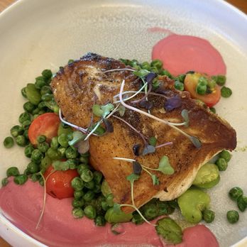 Broad Table Tavern - Seared Halibut w/ Fava Beans & Beet Reduction - Bars Near Me - Swarthmore, Pennsylvania Broad Table Tavern - Seared Halibut w/ Fava Beans & Beet Reduction - Bars Near Me - Swarthmore, Pennsylvania