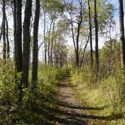 Scuppernong Springs Nature Trail - Nicely groomed trail.