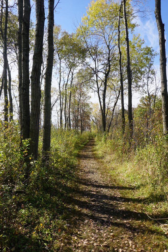SCUPPERNONG SPRINGS NATURE TRAIL 17 Photos County Rd Zz, Dousman