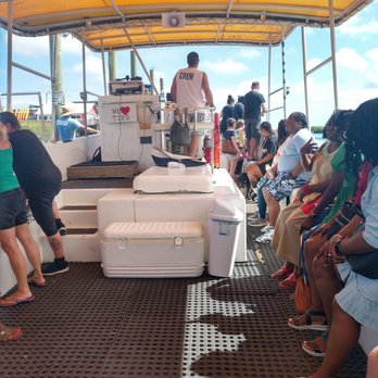 Capt. Mike's Dolphin Adventure Tour - The boat is large and roomy - Tours Near Me - Tybee Island, Georgia Capt. Mike's Dolphin Adventure Tour - The boat is large and roomy - Tours Near Me - Tybee Island, Georgia