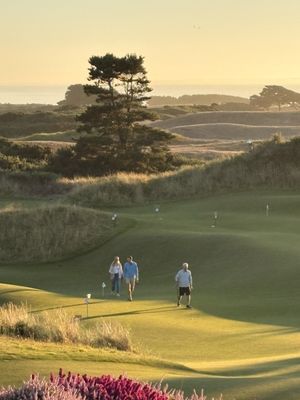 Bandon Dunes Golf Resort by null
