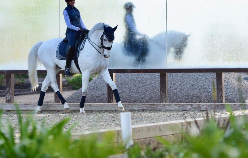 Arroyo Del Mar - equestrian in San Diego, CA