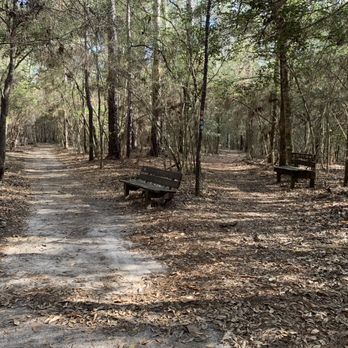 Pitcher Plant Trail - Trail intersection- Turkey Creek and Pitcher Plant trails - Parks Near Me Pitcher Plant Trail - Trail intersection- Turkey Creek and Pitcher Plant trails - Parks Near Me