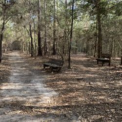 Pitcher Plant Trail - Trail intersection- Turkey Creek and Pitcher Plant trails