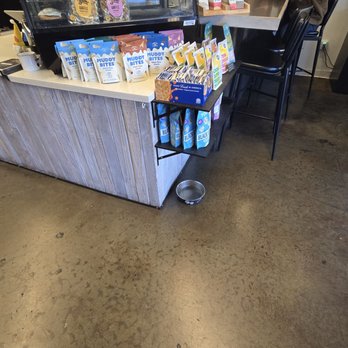 Kingdom Coffee Roasters - Dog bowl - Coffee Roasteries Near Me - Folsom, California Kingdom Coffee Roasters - Dog bowl - Coffee Roasteries Near Me - Folsom, California