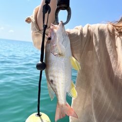 Shadowcaster Flats Fishing