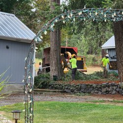 A&L Tree Service