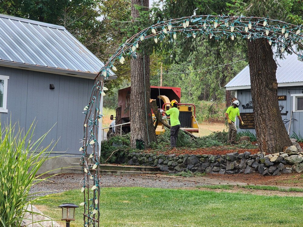 A&L Tree Service - tree service in Spokane, WA