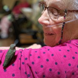 Chateau Senior Living - Almond Gardens