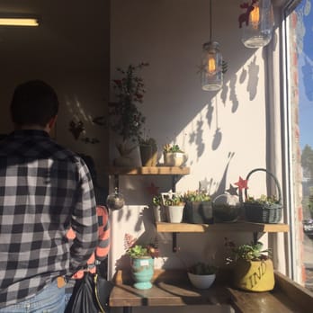 Undergrind Cafe - succulent wall - Cafes Near Me - Los Angeles, California Undergrind Cafe - succulent wall - Cafes Near Me - Los Angeles, California