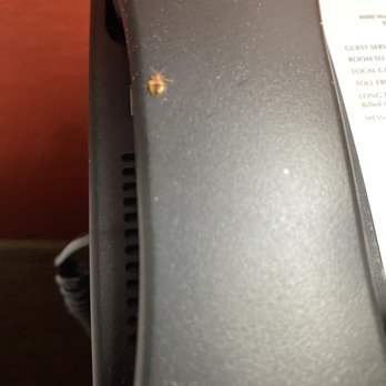 La Quinta by Wyndham Warner Robins - Robins AFB - Bed bugs - Hotels Near Me - Warner Robins, Georgia