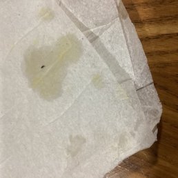 There was a bug in my food :(