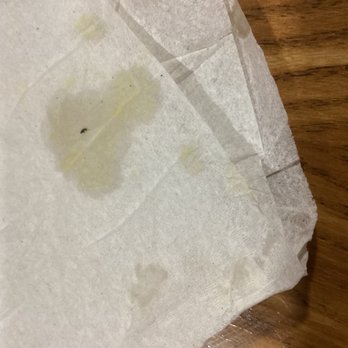 Mango Mango Dessert - There was a bug in my food :( - Desserts Near Me - Westbury, New York