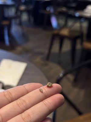 Gopchang Story Korean BBQ of Carrollton 곱창이야기 by null