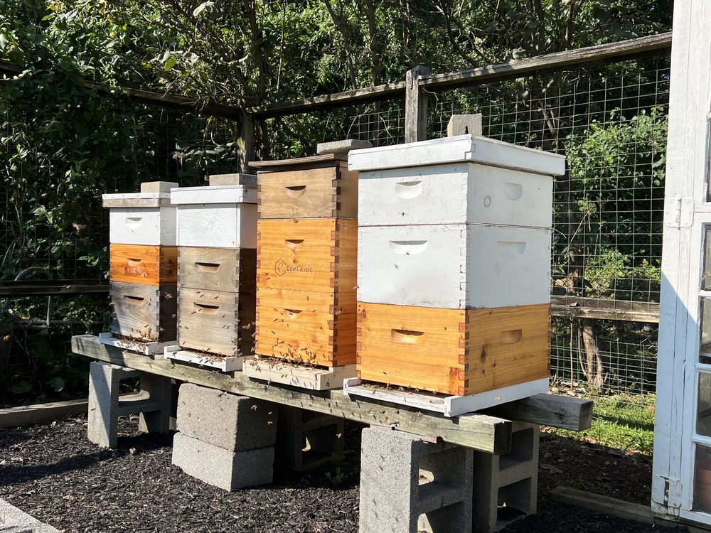 Turkey Hill Apiary - beekeeping in Bloomsbury, NJ