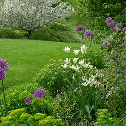 Superior Sod & Garden Supplies