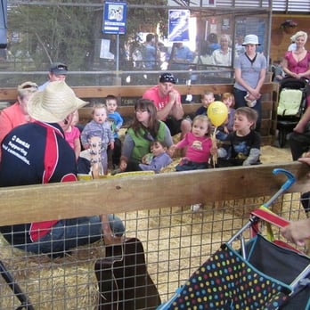 Royal Adelaide Show - Festivals Near Me - Wayville, SA Royal Adelaide Show - Festivals Near Me - Wayville, SA