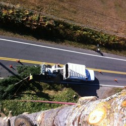 Siktum Tree Service - Pictured her is Conor atop a large fir tree. We shut down a lane of traffic to perform this removal. There is no job too large or technical.